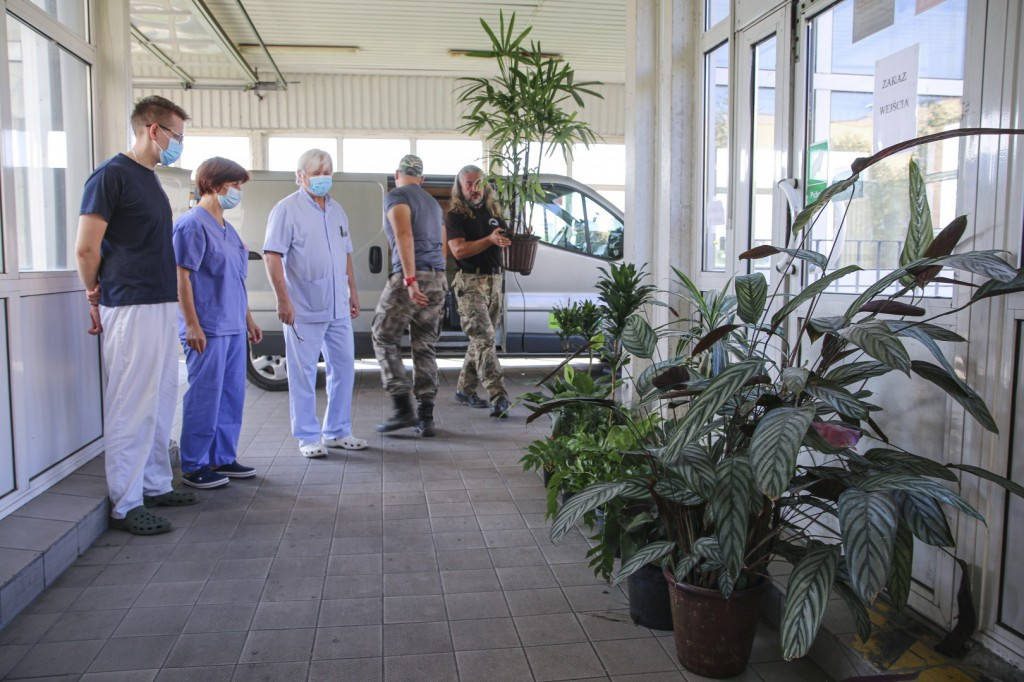 Egzotyczne rośliny trafiły z palmiarni do legnickiego szpitala